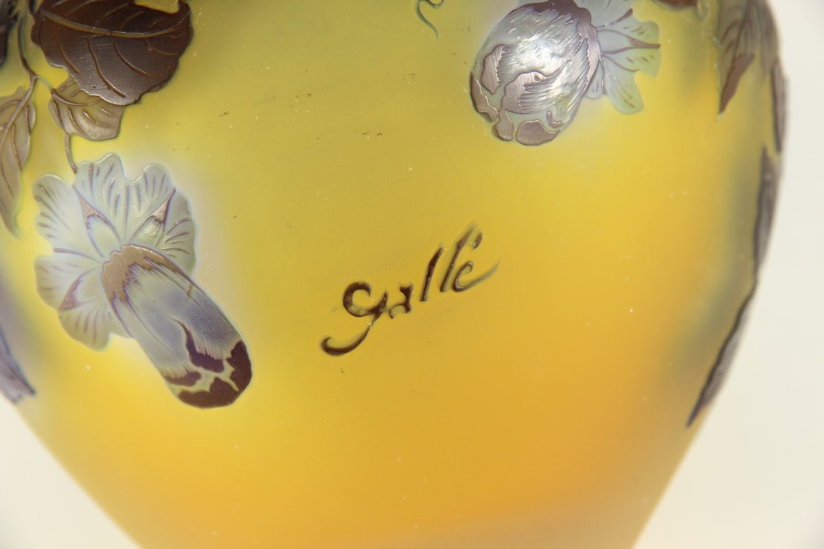 Gallé Vase (cobaea)-photo-3