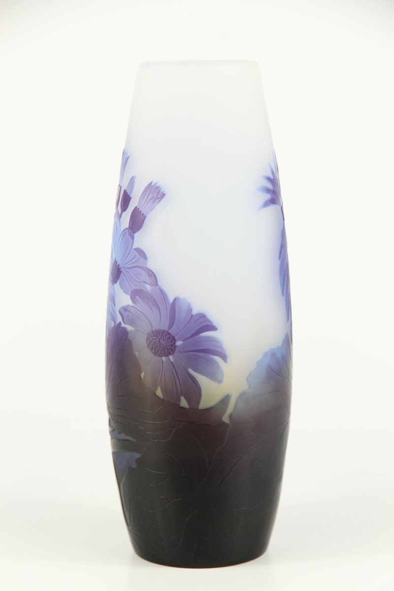 Vase Gallé (Cinéraires)-photo-2
