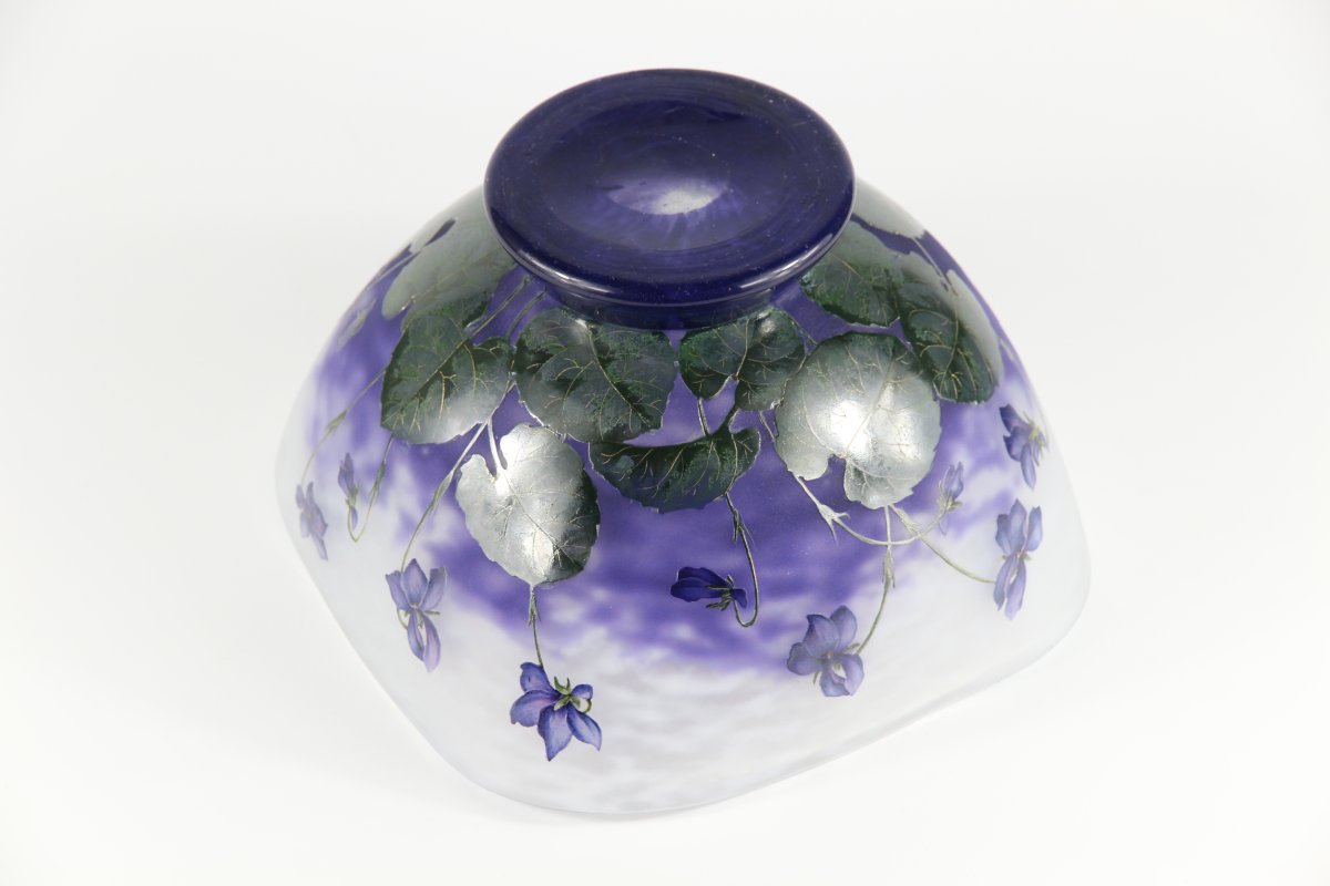 Coupe Daum Nancy (Violettes)-photo-4