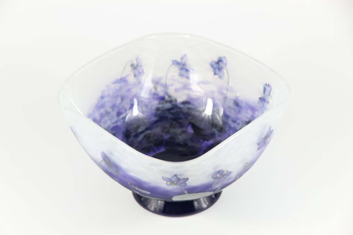 Coupe Daum Nancy (Violettes)-photo-1