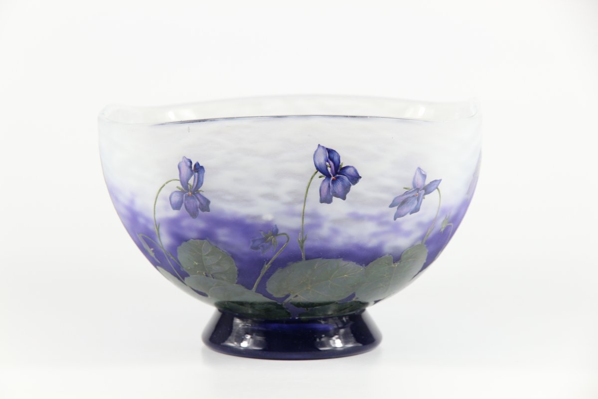 Coupe Daum Nancy (Violettes)-photo-3