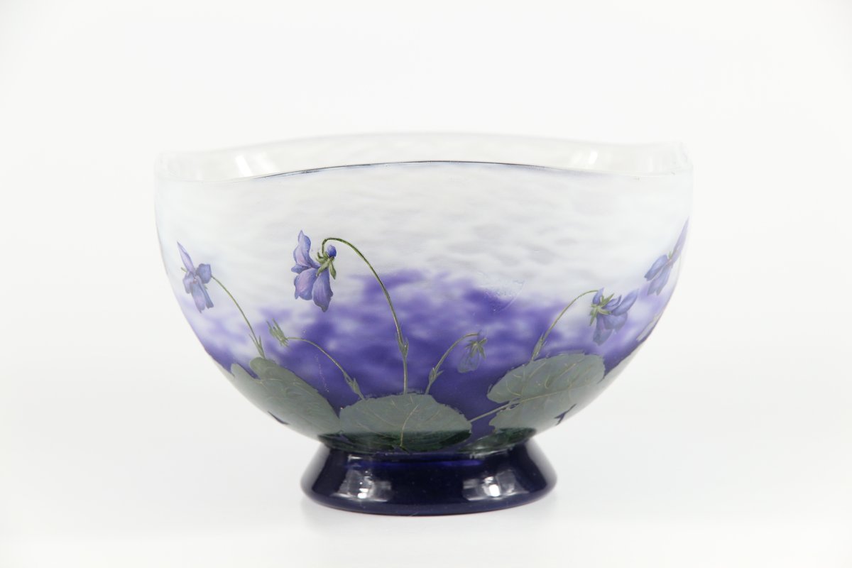 Coupe Daum Nancy (Violettes)-photo-4