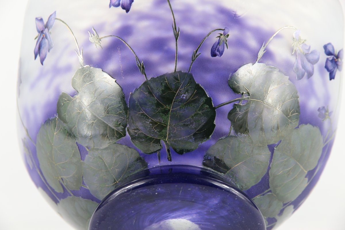 Coupe Daum Nancy (Violettes)-photo-7