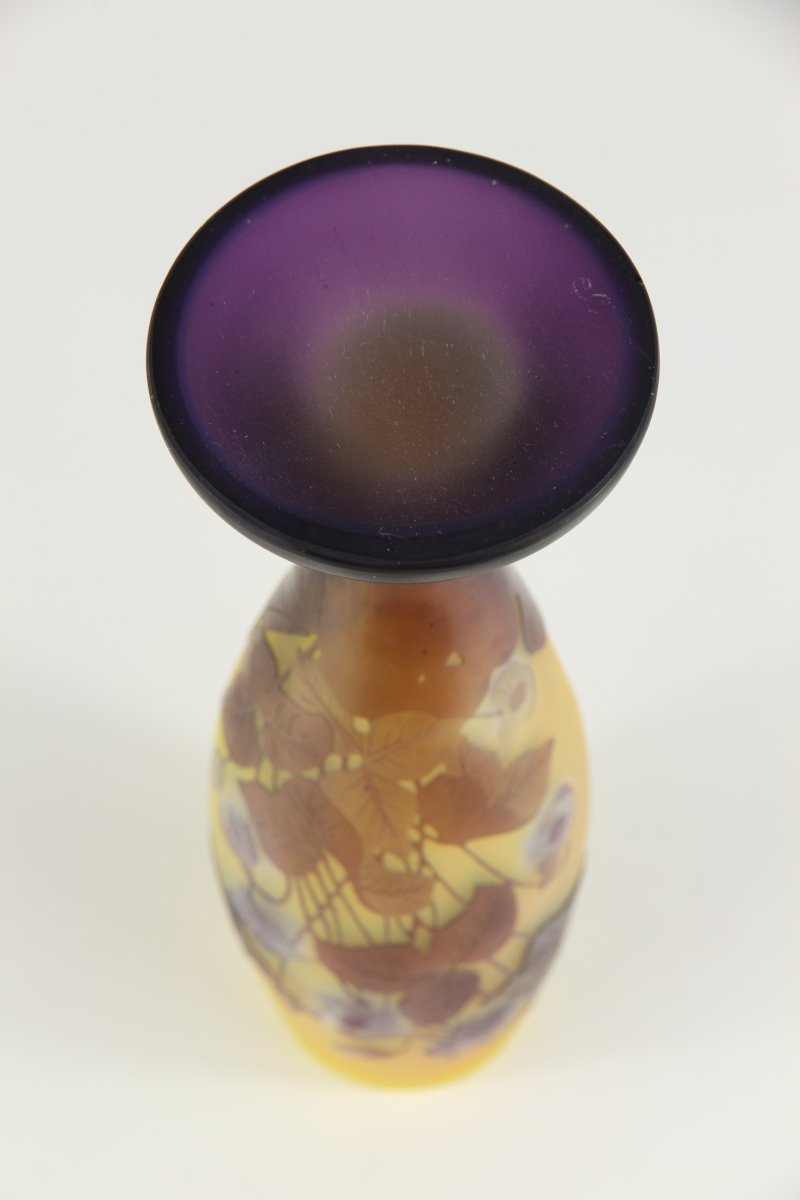 Vase Gallé (Hépathiques)-photo-4