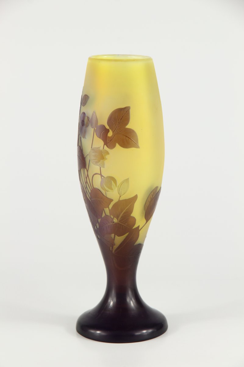 Vase Gallé (Hépathiques)-photo-2