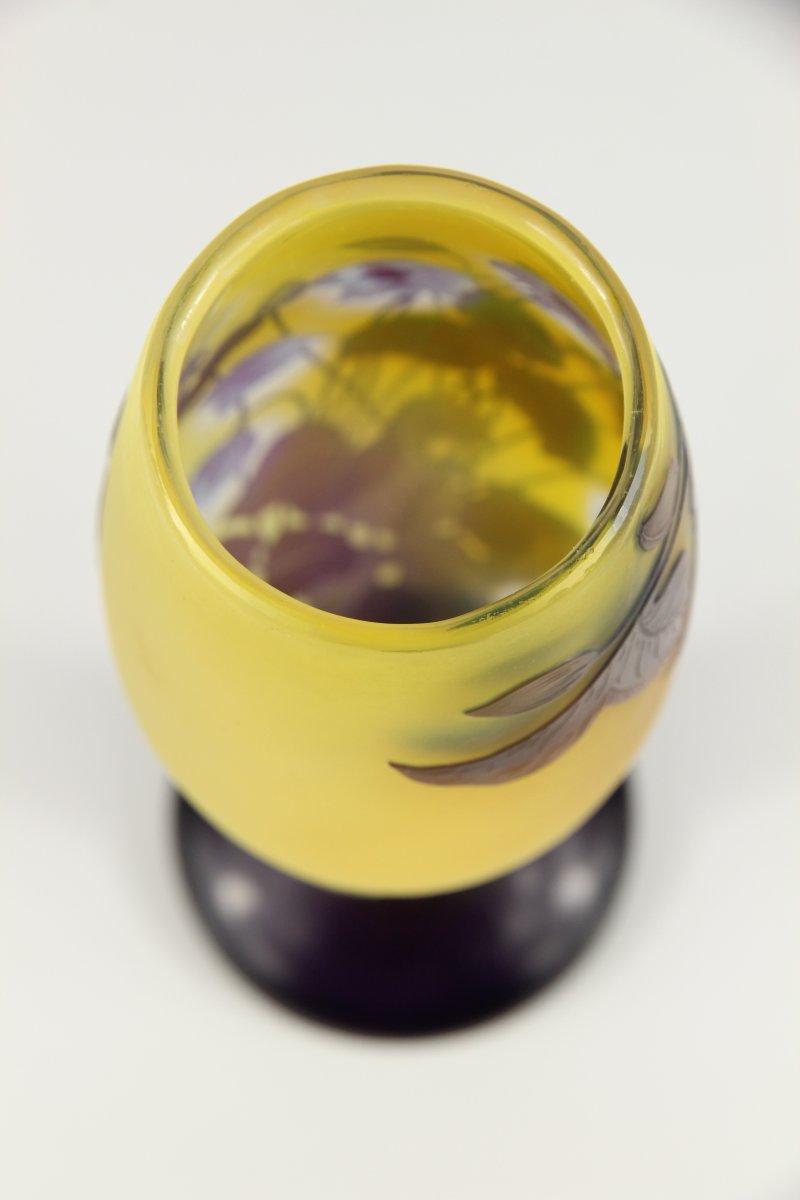 Vase Gallé (Hépathiques)-photo-6