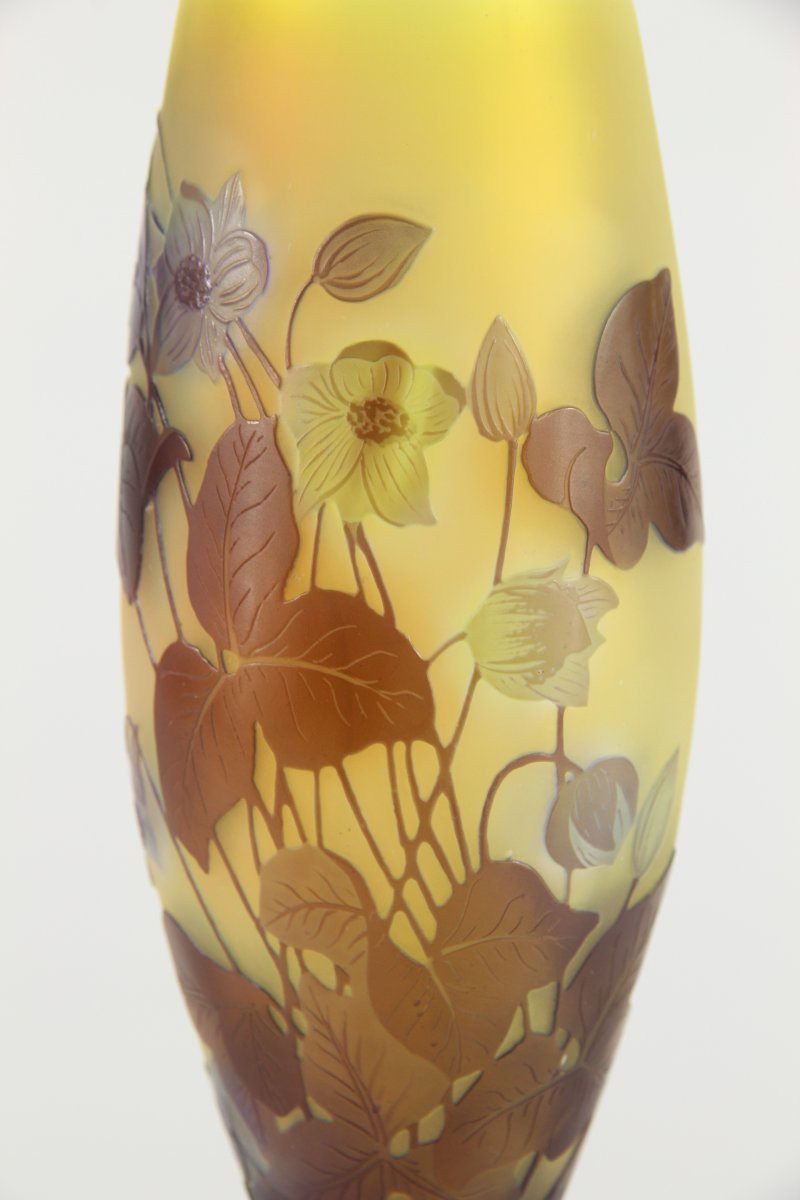 Vase Gallé (Hépathiques)-photo-8