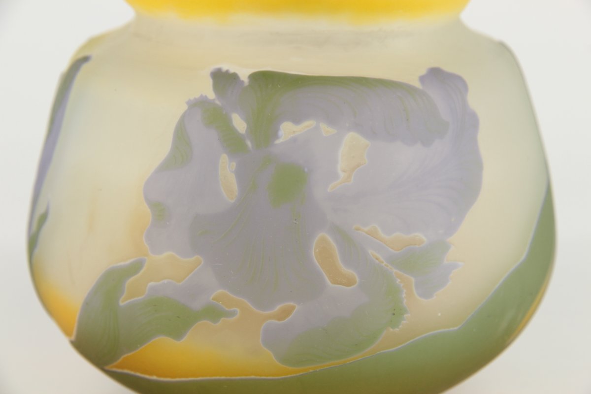 Vase Gallé (Iris)-photo-5