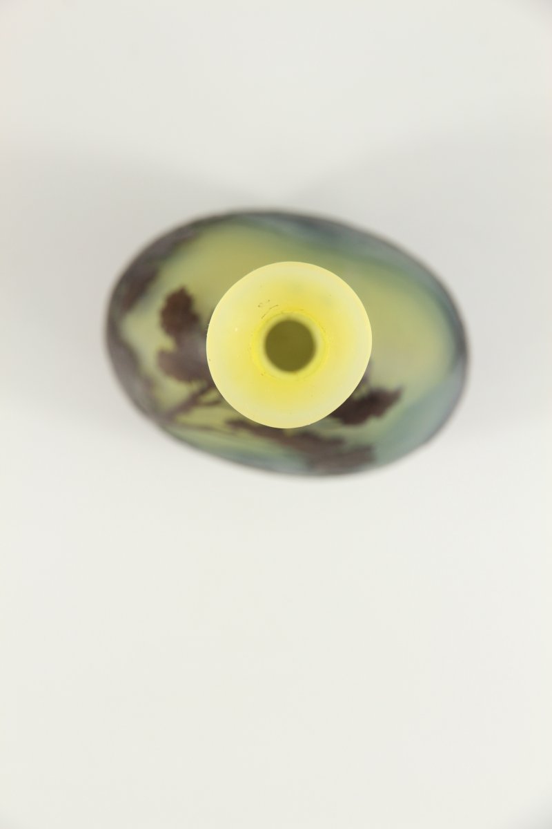 Gallé Vase (vosges Landscape )-photo-5