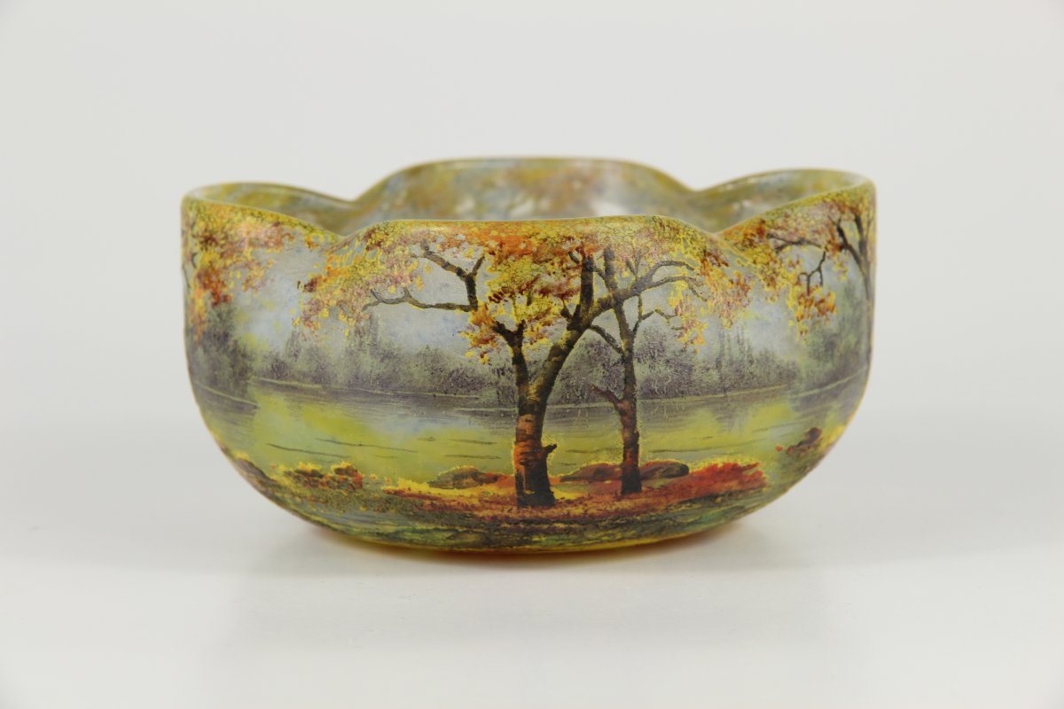 Coupe Daum Nancy (paysage autumnal)-photo-3