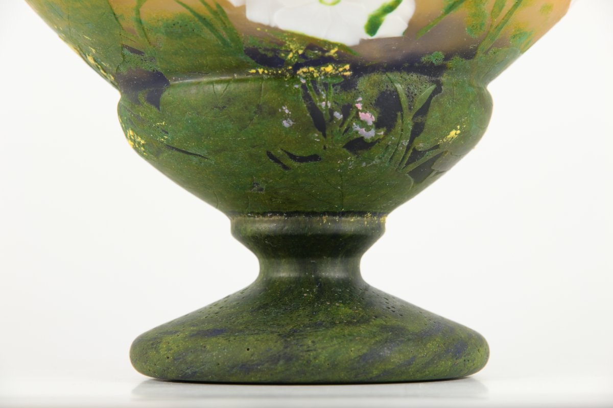Daum Nancy Vase (primroses Wheel Engraved)-photo-7