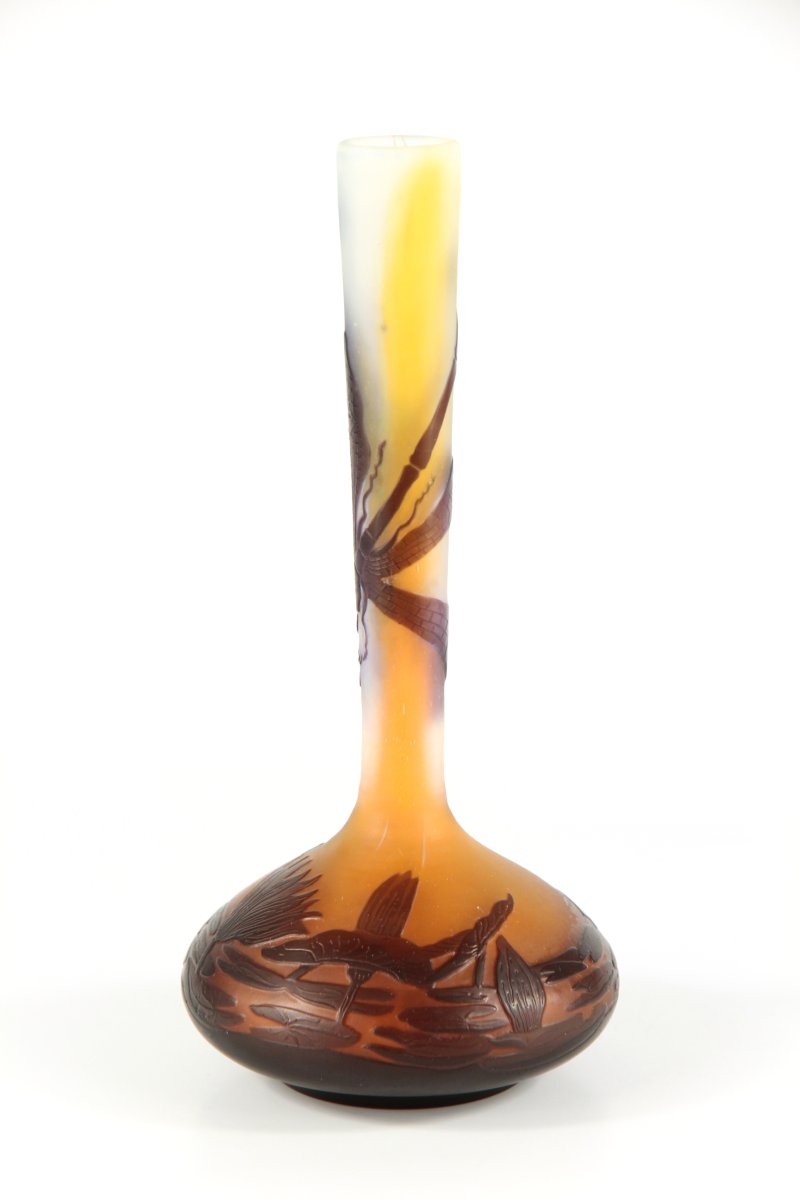 Vase Gallé (Libellule)-photo-1