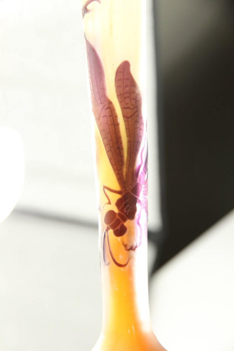 Vase Gallé (Libellule)-photo-7