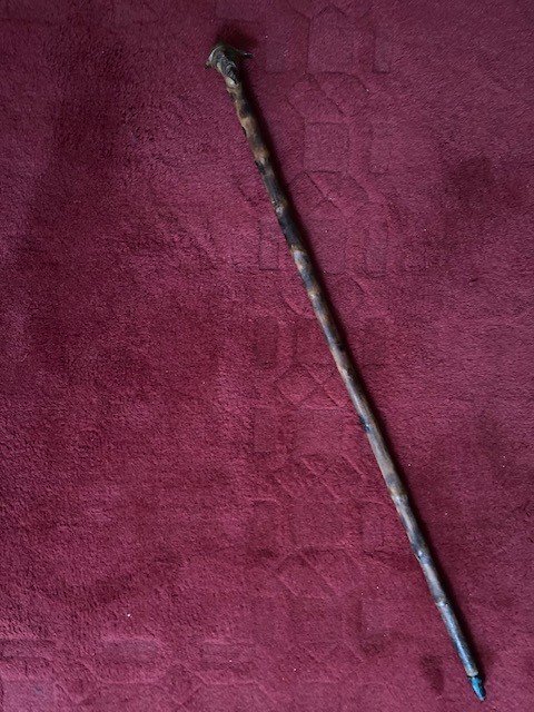 Medlar Collection Cane Representing A Caricature Of Napoleon III-photo-1