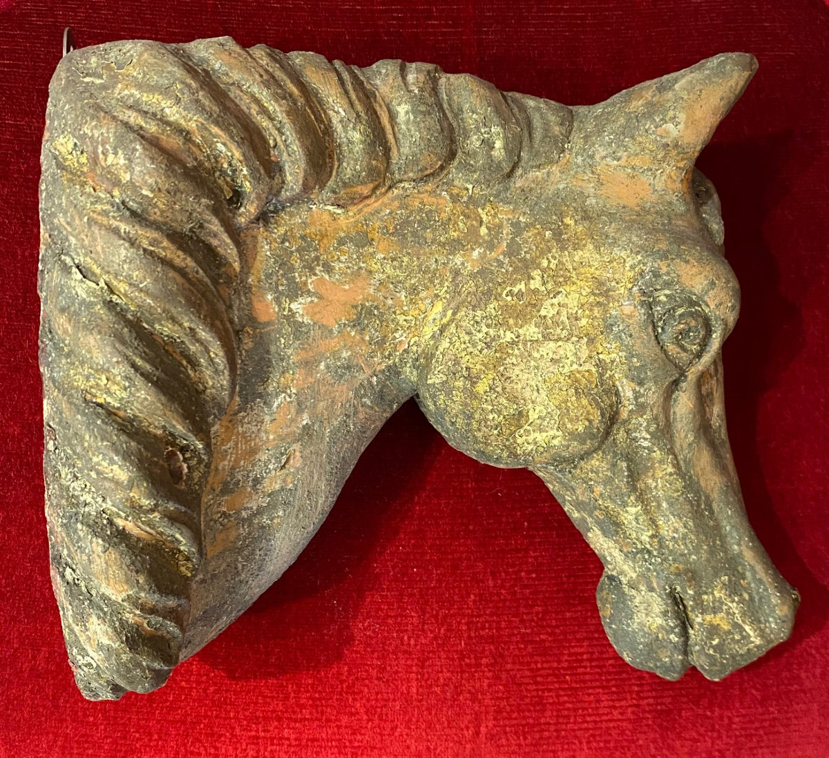 Paire de tête de Chevaux sculpté en bois - Provenance : Haras -  Circa 1850-photo-3