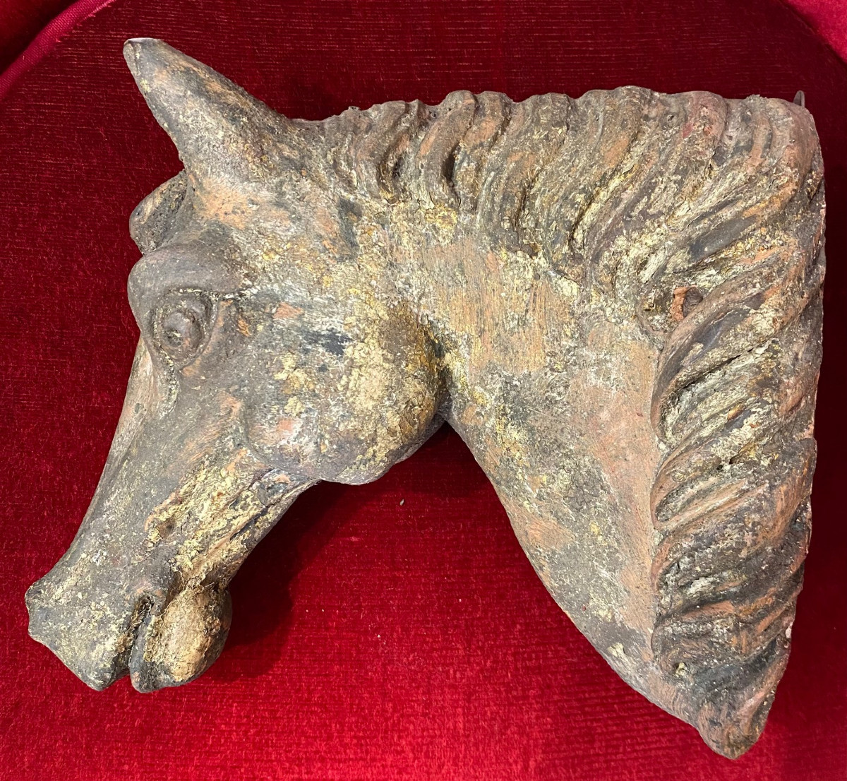 Paire de tête de Chevaux sculpté en bois - Provenance : Haras -  Circa 1850-photo-4