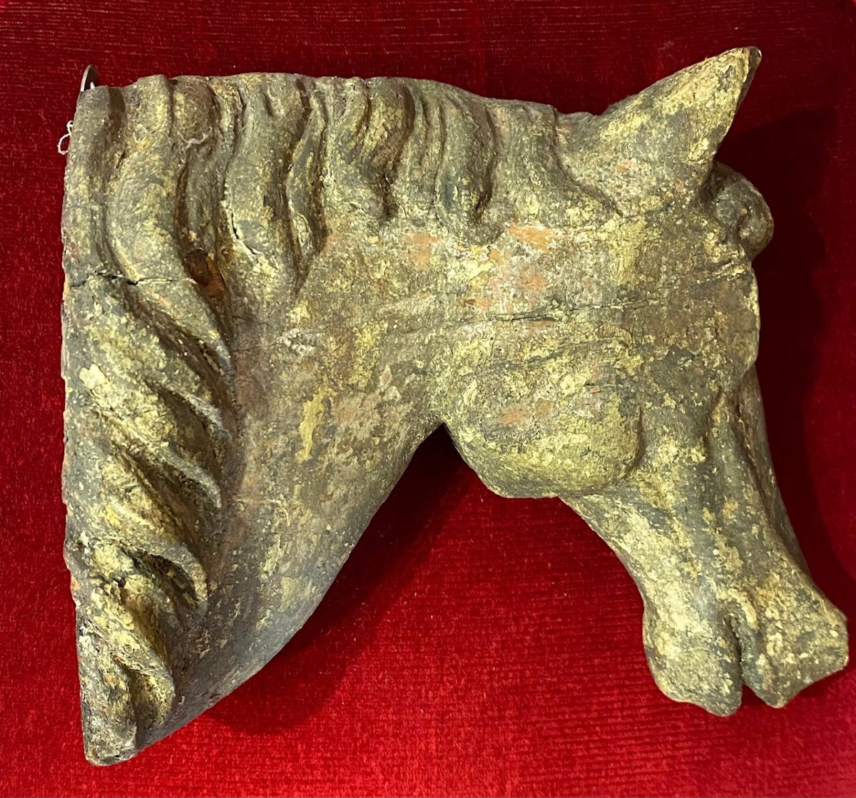 Paire de tête de Chevaux sculpté en bois - Provenance : Haras -  Circa 1850-photo-2