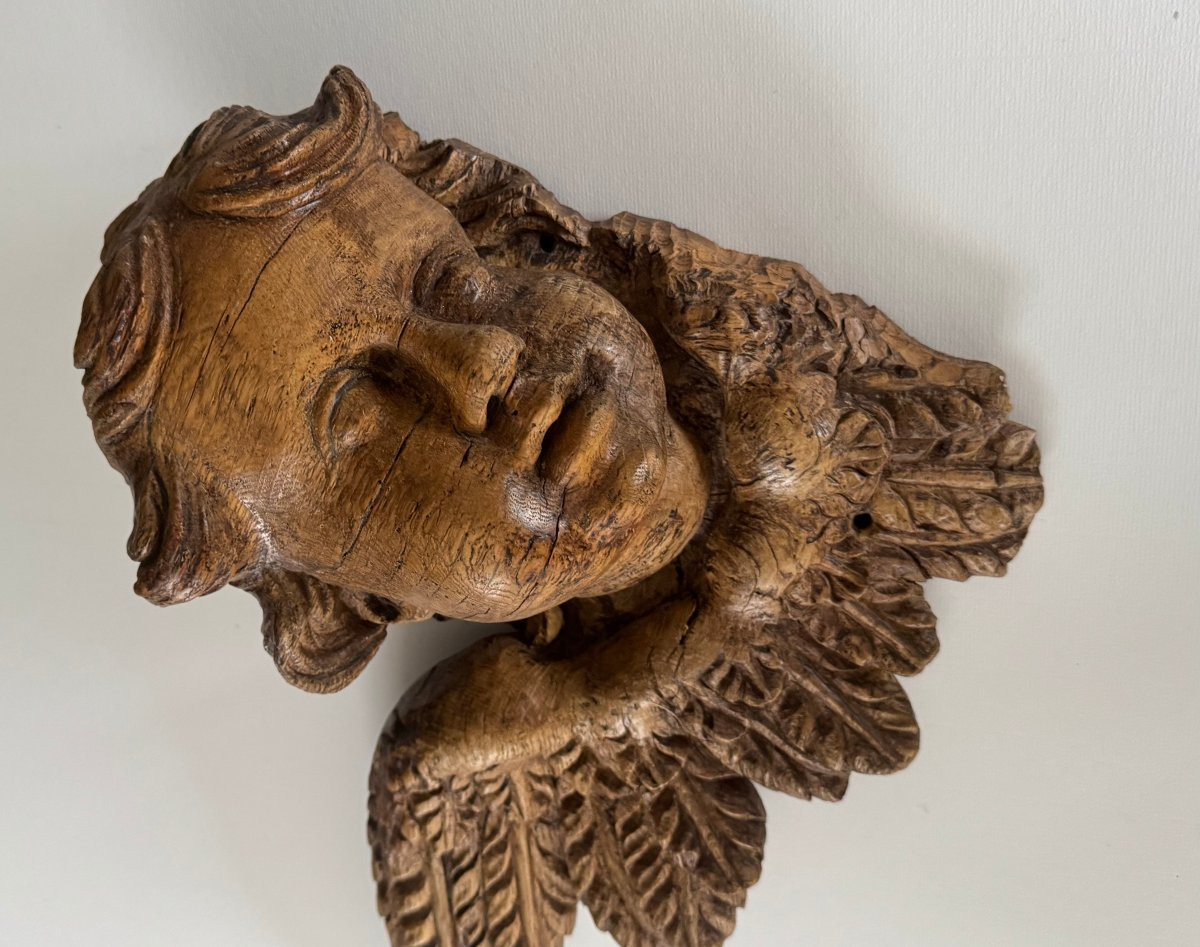 Pair Of Winged Cherub Heads In Carved Wood, 17th Century -photo-1