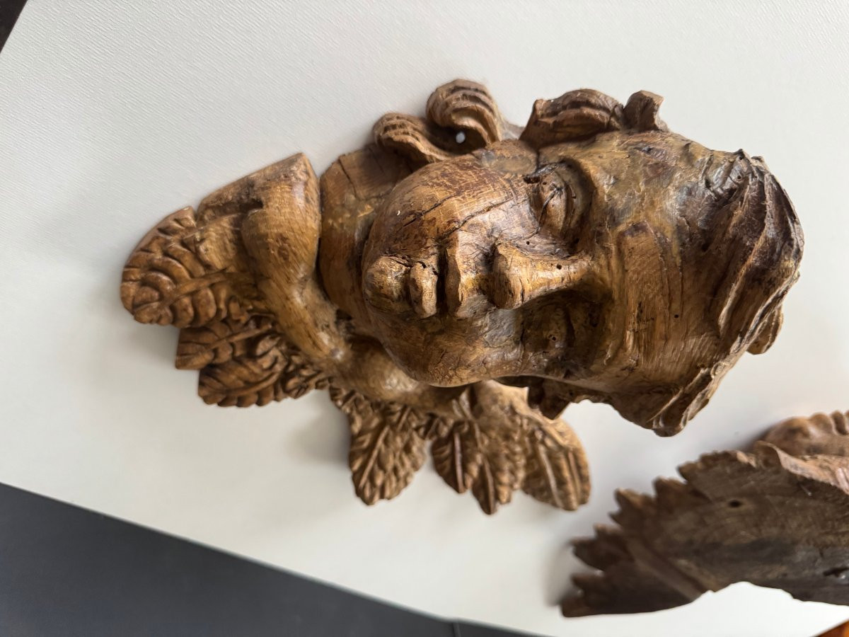 Pair Of Winged Cherub Heads In Carved Wood, 17th Century -photo-4