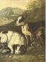1839216-alb-6ad12d424f4cc.jpg