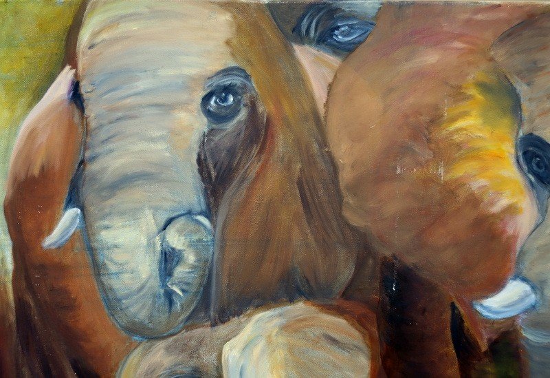 "elephants" By Anita.l.....(20)04-photo-2