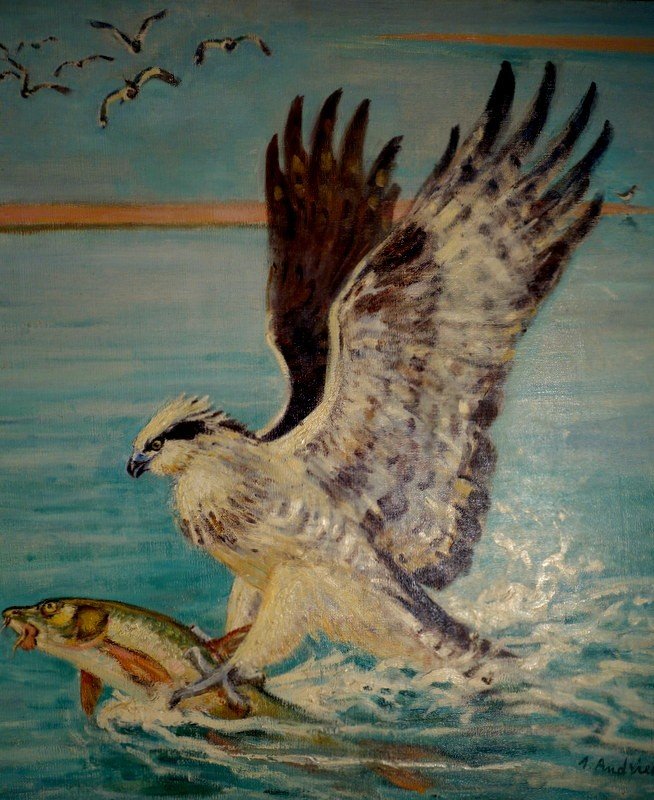 "osprey" Large Painting By Alfred Andrieux 1939-photo-2