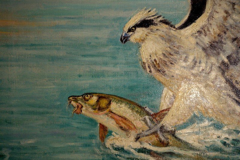 "osprey" Large Painting By Alfred Andrieux 1939-photo-3