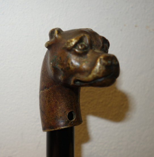 "boxer Head" Bronze Cane Knob Circa 1900-photo-2