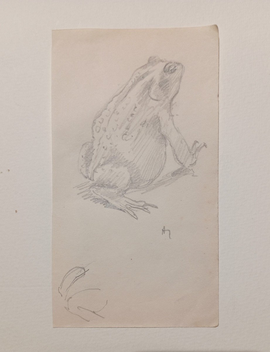 "toads" Lot Of 4 Drawings By Alfred Andrieux Circa 1920-photo-2