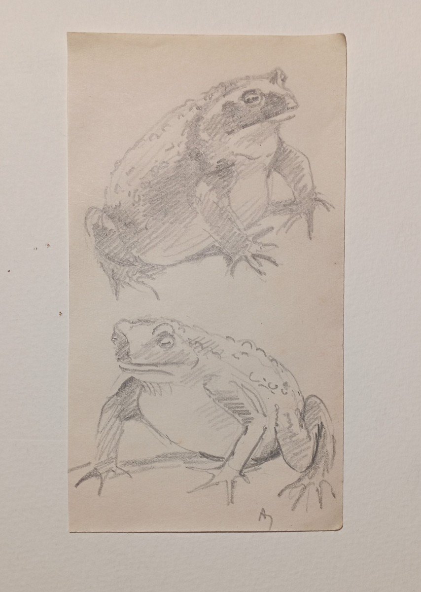 "toads" Lot Of 4 Drawings By Alfred Andrieux Circa 1920-photo-3