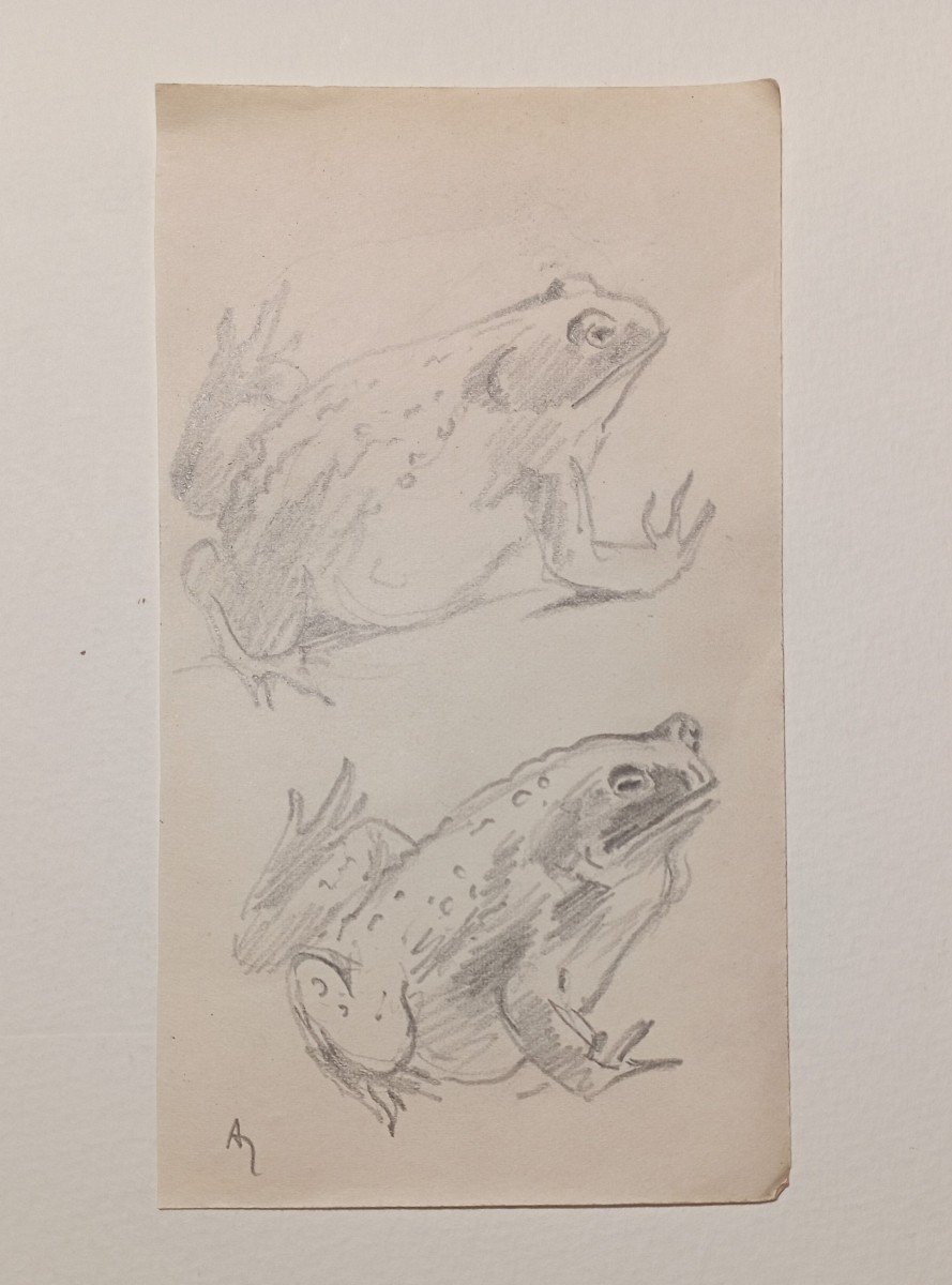 "toads" Lot Of 4 Drawings By Alfred Andrieux Circa 1920-photo-4