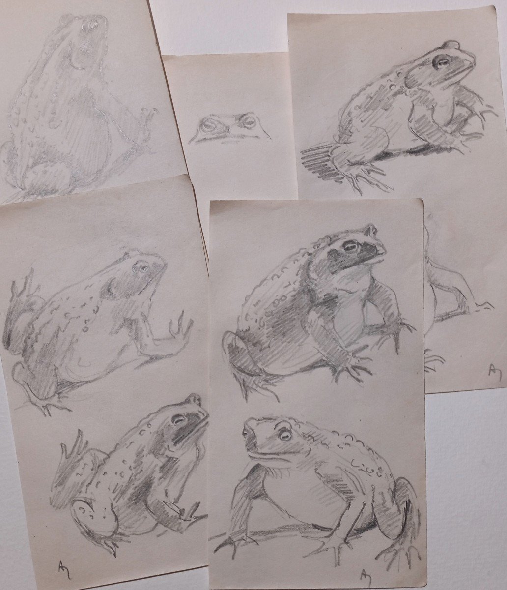 "toads" Lot Of 4 Drawings By Alfred Andrieux Circa 1920