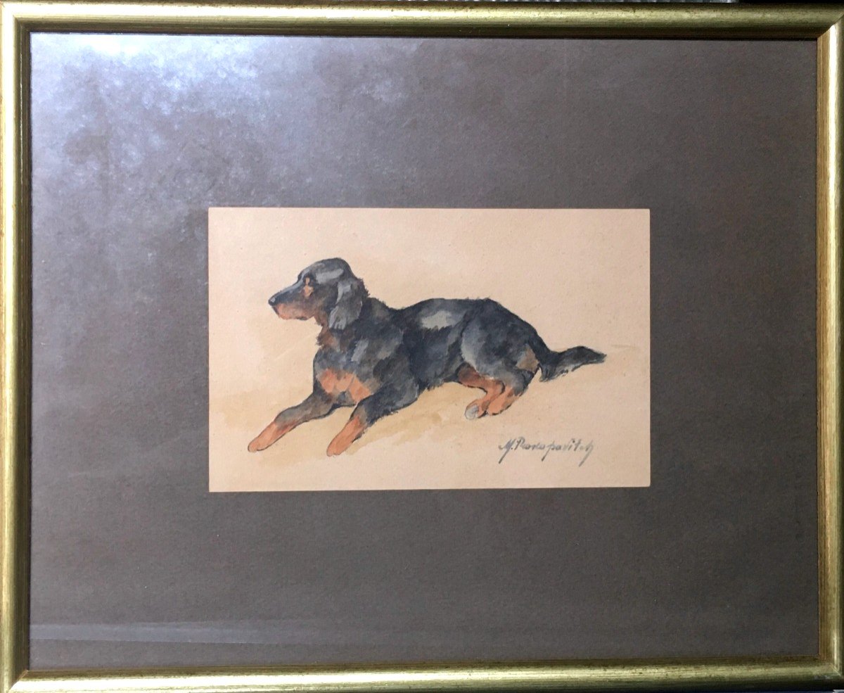 "SETTER GORDON " par Michael PROKOPOVITCH vers 1900-photo-2