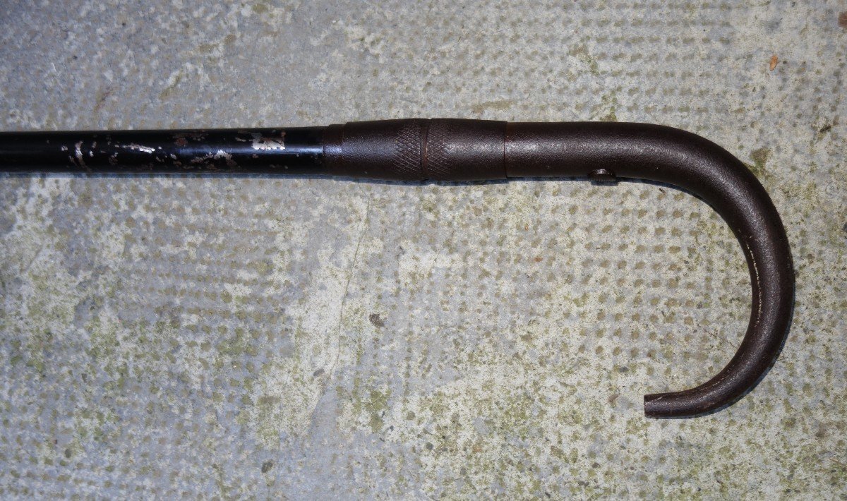 "gun Cane" Circa 1900-photo-2