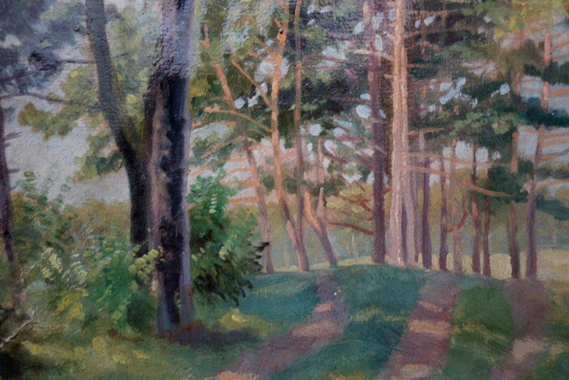 “pines Des Landes” By L.abramovitz (?) Circa 1950-photo-1