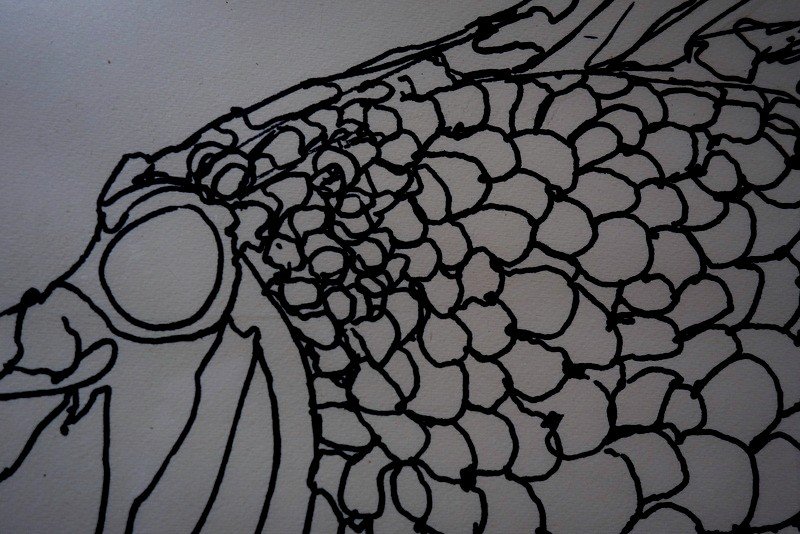 "fish" Drawing By Pierre Clavaret Sculptor..1983-photo-3