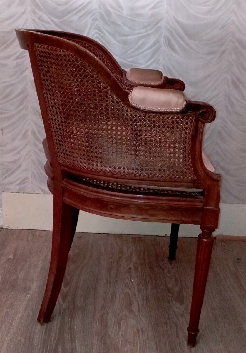"cané Office Chair" Louis XVI Style ..end Of The 19th Century-photo-3