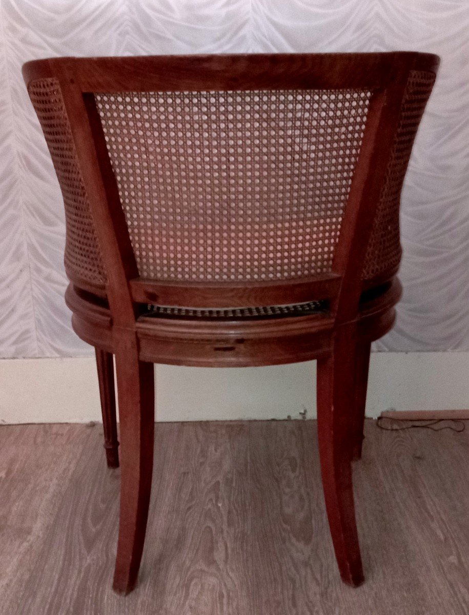 "cané Office Chair" Louis XVI Style ..end Of The 19th Century-photo-1