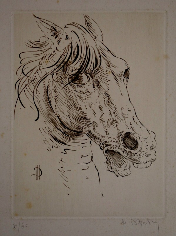 "horse Head" By Marc Dautry Circa 1980-photo-2