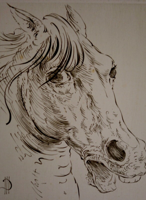 "horse Head" By Marc Dautry Circa 1980-photo-3