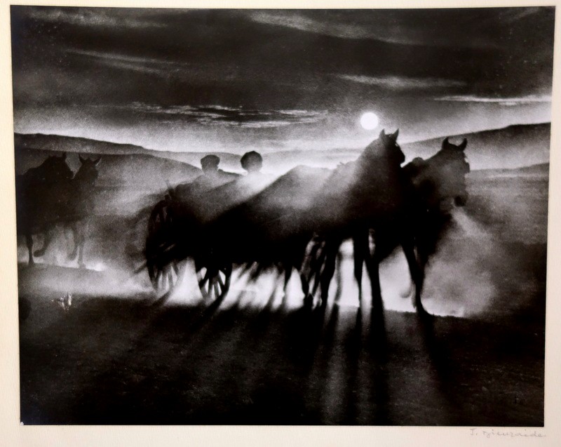 "the Ride" Photograph By Jean Dieuzaide ...1955