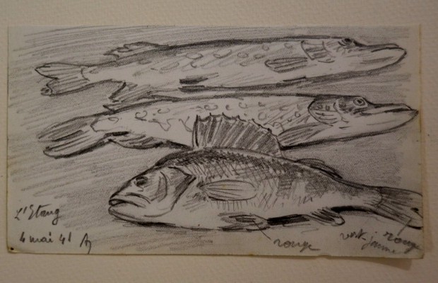 Lot de 7 Dessins "BROCHETS " par Alfred ANDRIEUX -photo-3