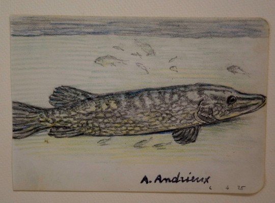 Lot de 7 Dessins "BROCHETS " par Alfred ANDRIEUX -photo-1