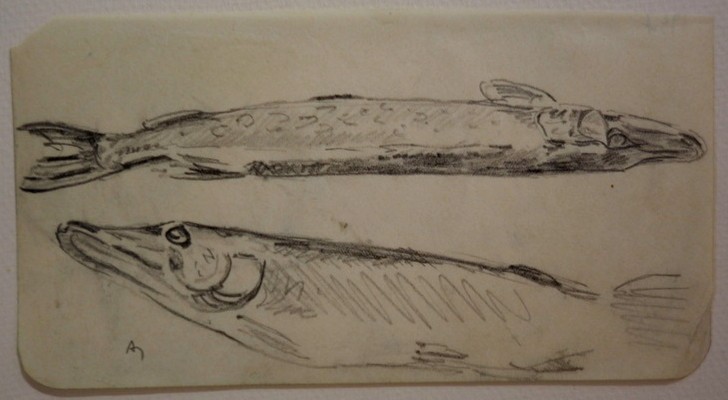 Lot de 7 Dessins "BROCHETS " par Alfred ANDRIEUX -photo-3