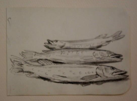 Lot de 7 Dessins "BROCHETS " par Alfred ANDRIEUX -photo-4