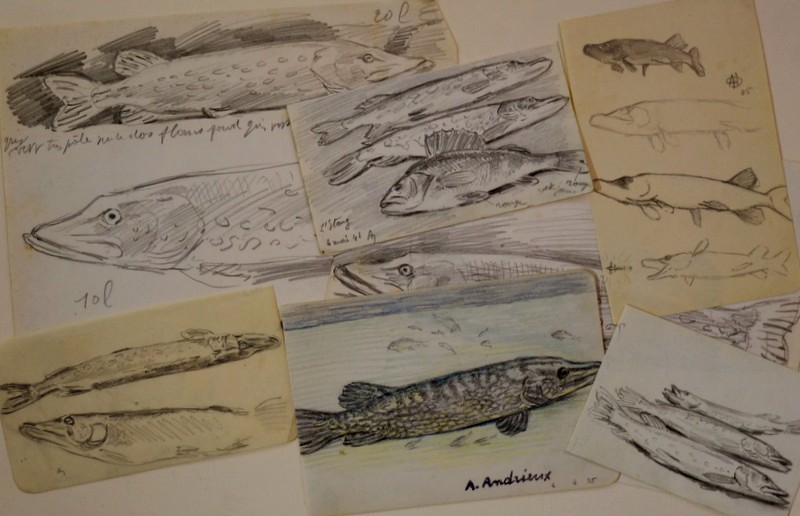Lot de 7 Dessins "BROCHETS " par Alfred ANDRIEUX 