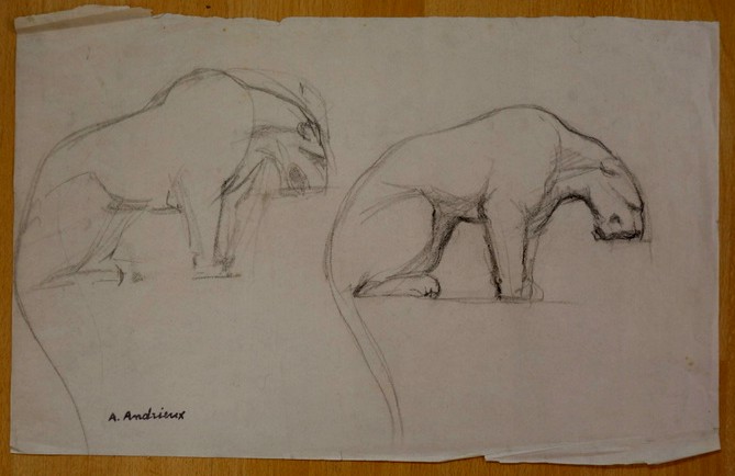 8 Grands  Dessins "ETUDES de LIONNES" par Alfred ANDRIEUX vers 1930 -photo-5