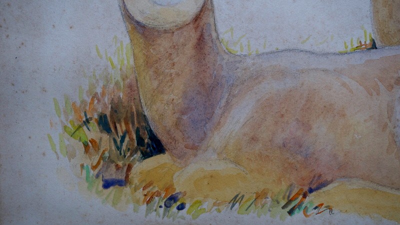 "CHEVREUILS a la REPOSEE" Aquarelle par Alfred ANDRIEUX vers 1930-photo-1