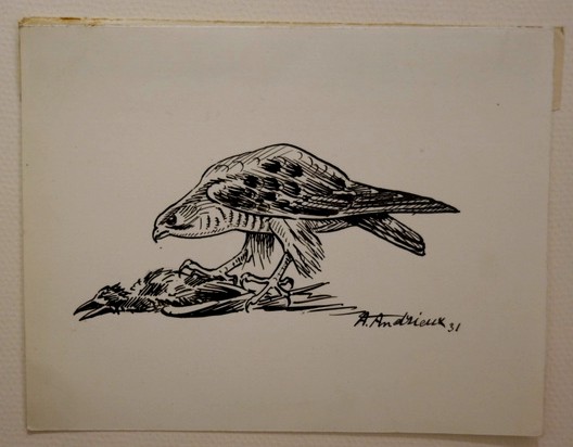 6 Dessins "RAPACES" par Alfred ANDRIEUX vers 1930/35-photo-2