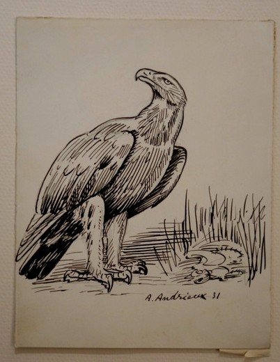6 Dessins "RAPACES" par Alfred ANDRIEUX vers 1930/35-photo-3